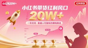 一年时间靠小红书带货项目年入20w+,最不能错的大红利项目-虚拟资源库