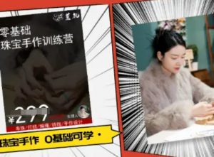 小集电商水晶直播带货课-抖音电商教程-虚拟资源库