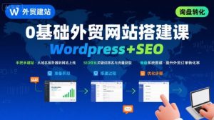 WordPress外贸建站+SEO优化课程,手把手教你从0到1搭建可获得询盘的外贸网站-虚拟资源库