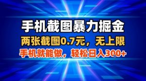 手机截图暴力掘金,两张截图0.7米,一部手机就能做,轻松日入3张+【揭秘】-虚拟资源库