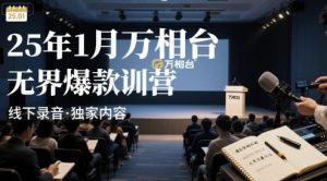 25年1月万相台无界爆款特训营线下录音-虚拟资源库