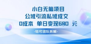 小白无脑项目公域引流私域成交0成本单日变现680米-虚拟资源库
