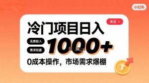 在小红书上发现个冷门路子，需求不小，零成本操作，每天能有1k进账-虚拟资源库