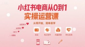 小红书电商从0到1实操运营课,从零开始,简单易学-虚拟资源库