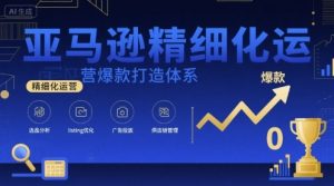 亚马逊精细化运营爆款打造体系,视频课+全套资料文档-虚拟资源库