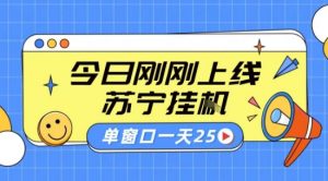 苏宁全自动采集挂G项目 稳定可批量 单窗口收益30+ 附教程【揭秘】-虚拟资源库