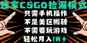CSGO自动捡漏项目,最新独家玩法,不是美区搬砖,不需要了解和玩游戏,新手小白轻松月入1W+【揭秘】-虚拟资源库