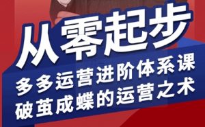 拼多多运营进阶系统课,从零起步,多多运营进阶体系课,破茧成蝶的运营之术-虚拟资源库