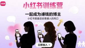 小红书训练营一起成为賺钱的博主,小红书是最适合普通人的风口-虚拟资源库
