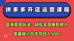 拼多多开店运营课程:蓝海变现玩法,轻松实现睡后收入,零基础小白也可日入5张-虚拟资源库