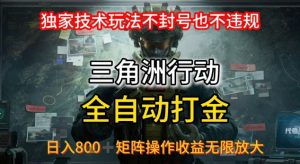 三角洲最新全自动G机，独家技术玩法，不封号也不违规， 日入8张+可矩阵操作，收益无限放大【揭秘】-虚拟资源库