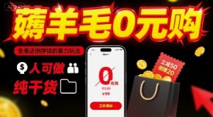 薅羊毛0元购,免单还倒挣钱的暴力玩法,人人可做,纯干货-虚拟资源库