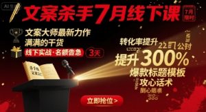 文案杀手7月线下课,文案大师最新力作,满满的干货-虚拟资源库