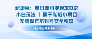 新项目单日即可变现3张的小白玩法无脑操作不封号安全引流-虚拟资源库