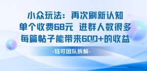 小众玩法再次刷新认知单个收费68米进群人数很多每篇帖子能带来6张的收益-虚拟资源库
