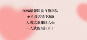 2025最新网盘自撸玩法,单机每天稳下3张,无需流量和拉人头,一个人就可轻松矩阵,全网独一份【揭秘】-虚拟资源库