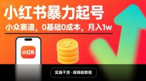 小红书暴力起号,小众赛道,0基础0成本,月入1w-虚拟资源库