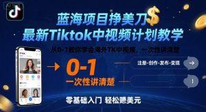 蓝海项目挣美刀，最新Tiktok中视频计划教学，从0-1教你学会海外TK中视频，一次性讲清楚-虚拟资源库