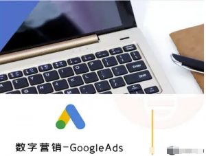 数字营销-GoogleAds-外贸跨境电商教程-虚拟资源库