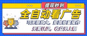 全自动看广告项目,可无限放大,可矩阵批量操作-虚拟资源库