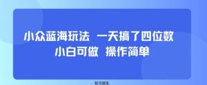 小众蓝海玩法 一天搞了四位数 小白可做 操作简单-虚拟资源库
