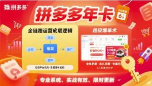 拼多多年卡【8月更新6节】拼多多全链路运营底层逻辑,超级爆单术-虚拟资源库