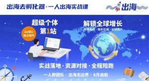 出海去孵化器,一人出海实战课,超级个体第1站,解锁全球增长-虚拟资源库