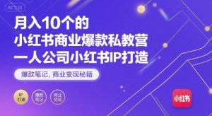 月入10个的小红书商业爆款私教营，一人公司小红书IP打造，爆款笔记，商业变现秘籍-虚拟资源库