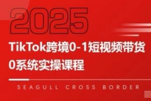 TikTok跨境0-1短视频带货，系统拆解TikTok跨境带货全链路，实现跨境可持续盈利-虚拟资源库