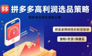 拼多多选品暴利技术实战课，拼多多高利润选品策略，拼多多限时低价标签秘诀-虚拟资源库