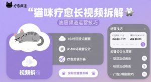 猫咪疗愈长视频拆解 &油管频道运营技巧-虚拟资源库