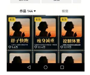 超高变现的短视频减肥细分赛道,减肥账号抖音实战训练营-虚拟资源库