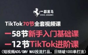 TikTok全套视频课，新手入门+进阶课，短视频ADS-GMV MAX投流打品，日销破1000单打法-虚拟资源库