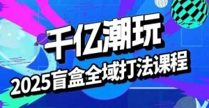 2025盲盒全域全套打法课,盲盒起号、选品、话术、私域等-虚拟资源库