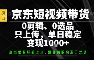 你出账号,我来运营,保底日入1k+,开启躺賺模式【揭秘】-虚拟资源库