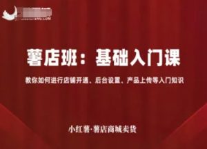 小红薯薯店商城卖货,基础入门课,教你如何进行店铺开通、后台设置、产品上传等入门知识-虚拟资源库