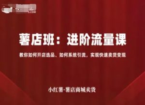 小红薯薯店商城卖货,进阶流量课,教你如何开店选品、如何系统引流,实现快速卖货变现-虚拟资源库