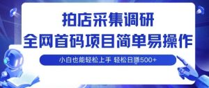 拍店采集调研,全网首码项目,简单易操作, 小白也能轻松上手,多账号操作,轻松日入5张【揭秘】-虚拟资源库