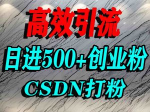 怎么打创业粉?CSDN又一个你不知道的打粉引流神秘平台,单人日引500+精准流量-虚拟资源库