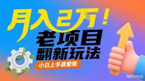 月入2W！老项目翻新玩法，小白上手就能做，非常容易上手-虚拟资源库