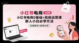 小红书电商0基础+高级运营课,新人小白必学方法,实操教学+案例分析-虚拟资源库