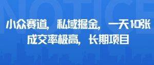 小众赛道，私域掘金，一天多张，成交率极高，长期项目-虚拟资源库