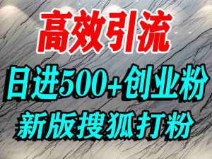 怎么打创业粉?搜狐网打精准创业粉,打粉引流教程,单人日引500+精准创业粉-虚拟资源库