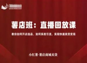 小红薯薯店商城卖货直播回放课,教你如何开店选品、如何系统引流,实现快速卖货变现-虚拟资源库