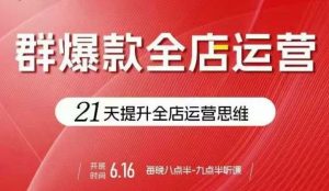 贾真电商群爆款全店运营,21天提升全店运营思维,起店、全店运营爆款不断-虚拟资源库