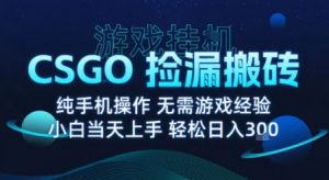 8月最新游戏搬砖,CSGO纯挂G,不需要玩游戏,实现真挂G,月入1W+【揭秘】-虚拟资源库