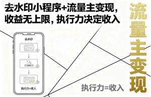 去水印小程序+流量主变现，收益无上限，执行力决定收入-虚拟资源库