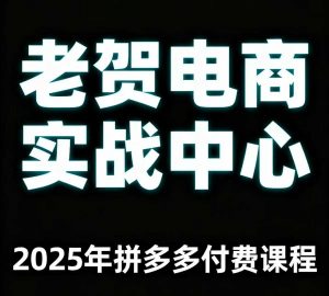 老贺电商2025年拼多多付费课程，用通俗易懂的方法告诉你多多怎么玩-虚拟资源库