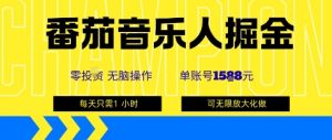 番茄音乐人掘金,单账号最高可撸1k+,可无限矩阵去做,零投入-虚拟资源库