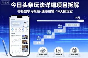 今日头条玩法详细项目拆解,零基础学习视频 通俗易懂 14天搞定它-虚拟资源库